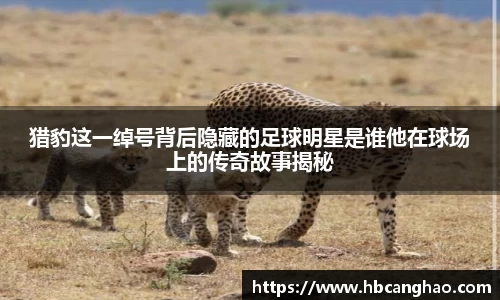 猎豹这一绰号背后隐藏的足球明星是谁他在球场上的传奇故事揭秘